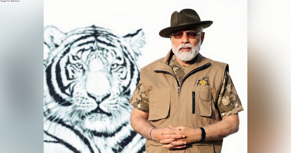 Congress takes credit for Project Tiger, questions PM Modi-led BJP govt's contribution to tiger conservation